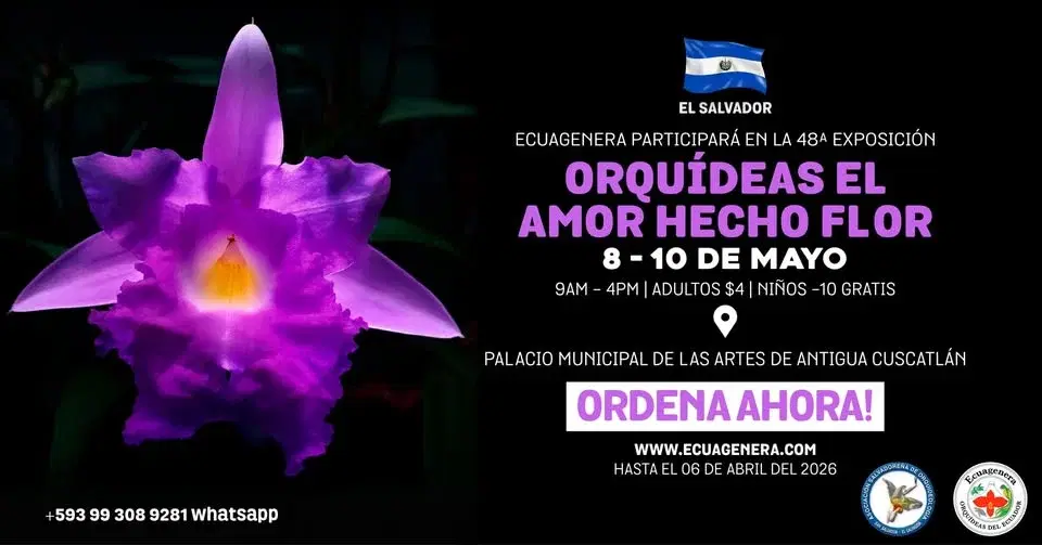 Ecuagenera participará en la 48ª Exposición “Orquídeas: El amor hecho flor”