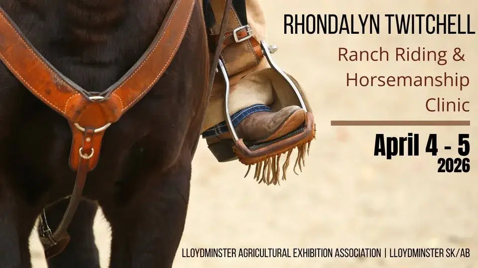 Rhondalyn Twitchell Ranch Riding & Horsemanship Clinic