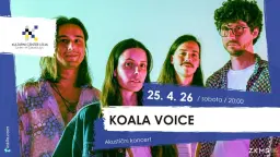 Akustični koncert: KOALA VOICE