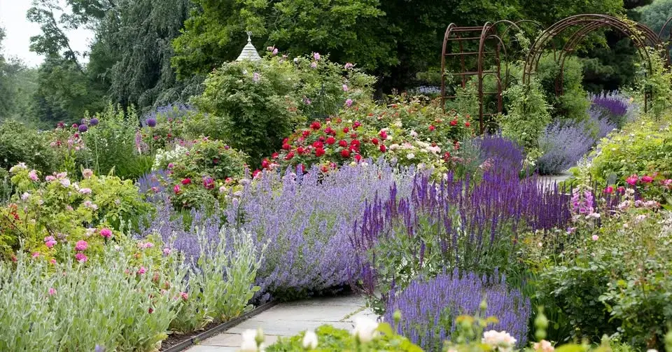 Garden Walks - Roses & Friends