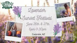 Sip & Snip: Lavender Picking at Sunset