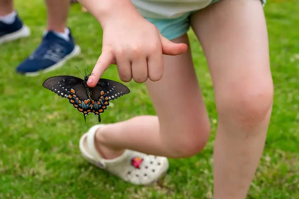 The Gardens Hullabloom Fest