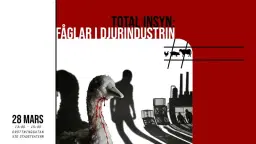 Fåglar i djurindustrin - manifestation