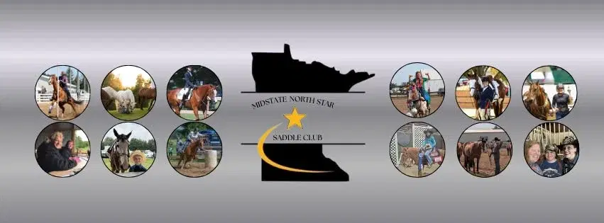 MSNS Pleasure & Games Horse Show