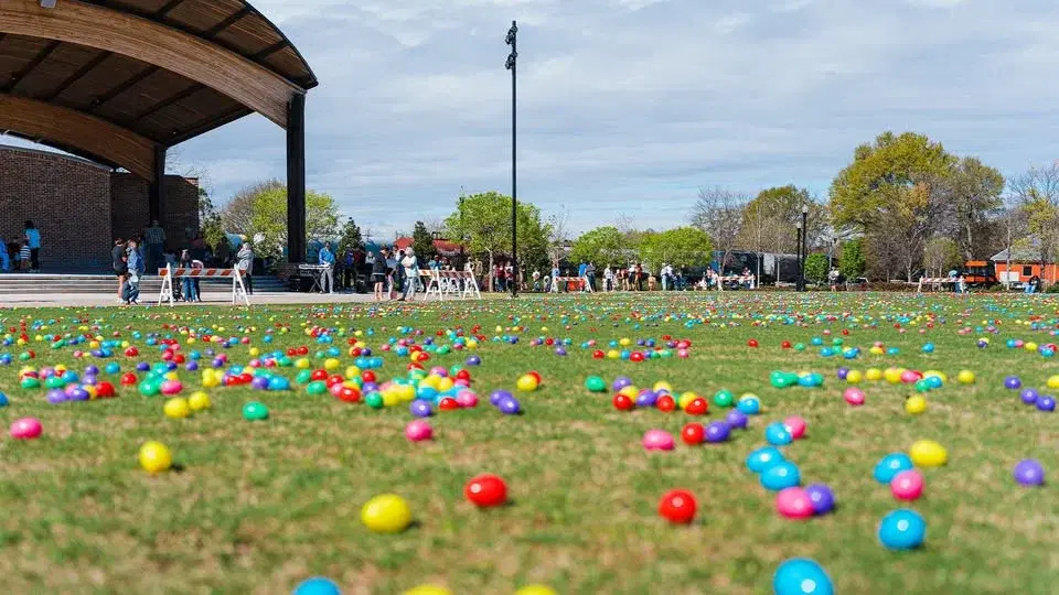 Winder's Eggstravaganza