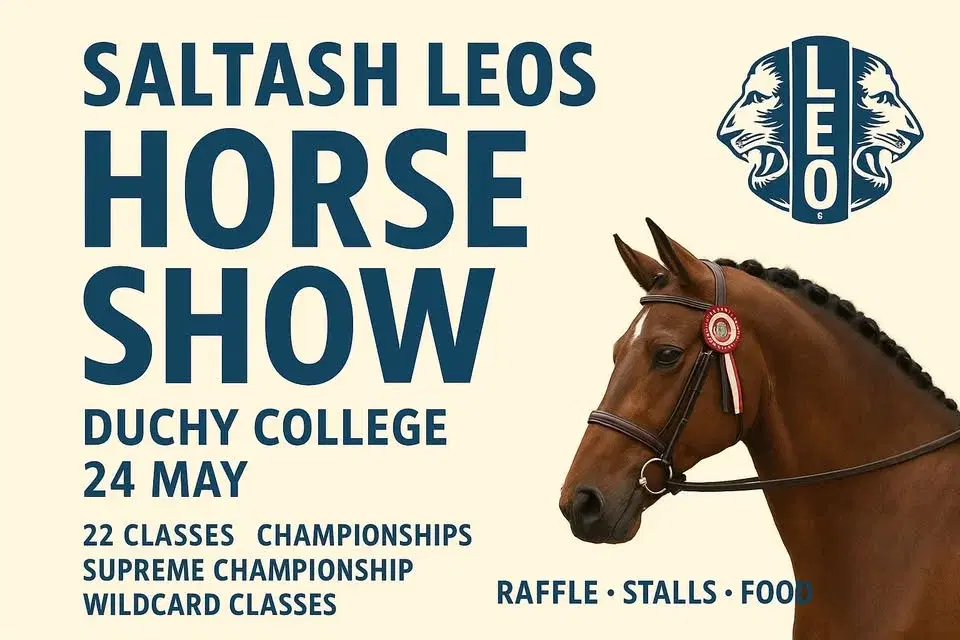 Leos Horse Show