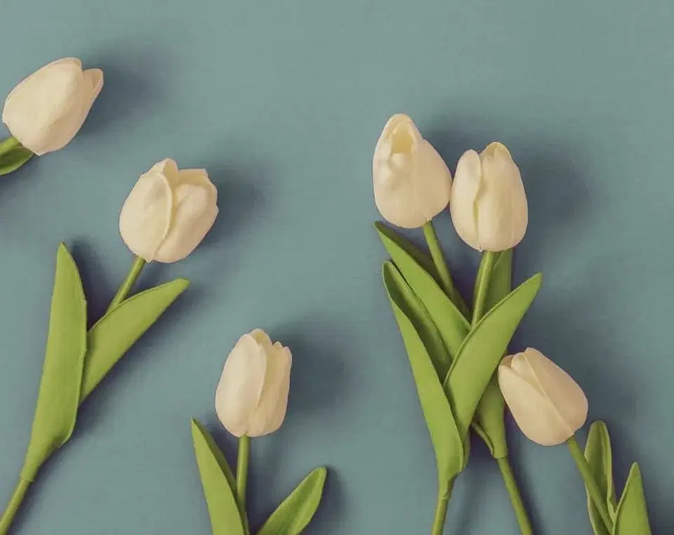 Spring Makers Market