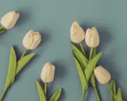 Spring Makers Market