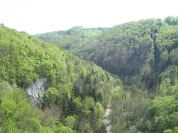 Běh na Býčí skálu 2026