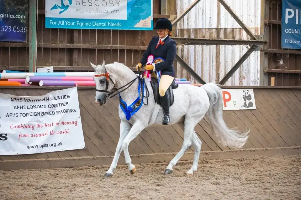 APHS SouthWest Show 2026