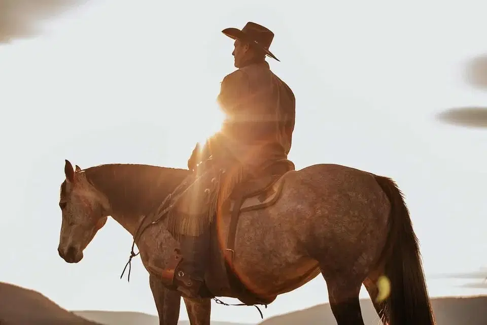 Luke Reinbold Confidence Through Horsemanship @ East Fork Stables