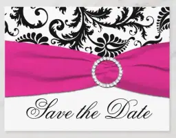 Miss Lee County Fair 2026