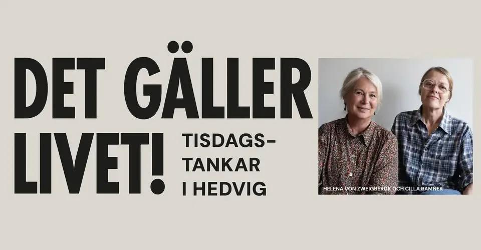 Det gäller livet: Hur ska man bli gammal idag? Hur ska man tänka, se ut, leva?