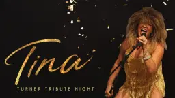 Tina Turner Tribute Night