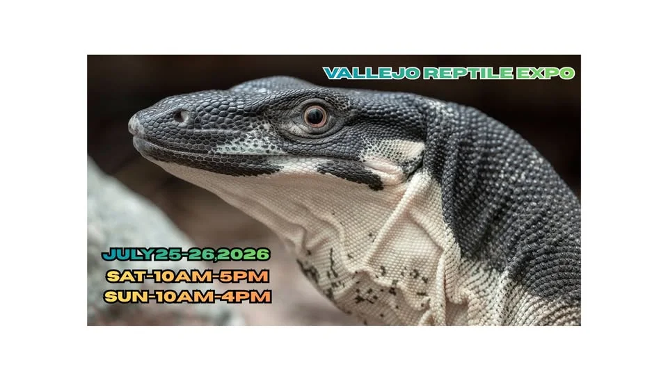 Vallejo Reptile & Oddities Expo