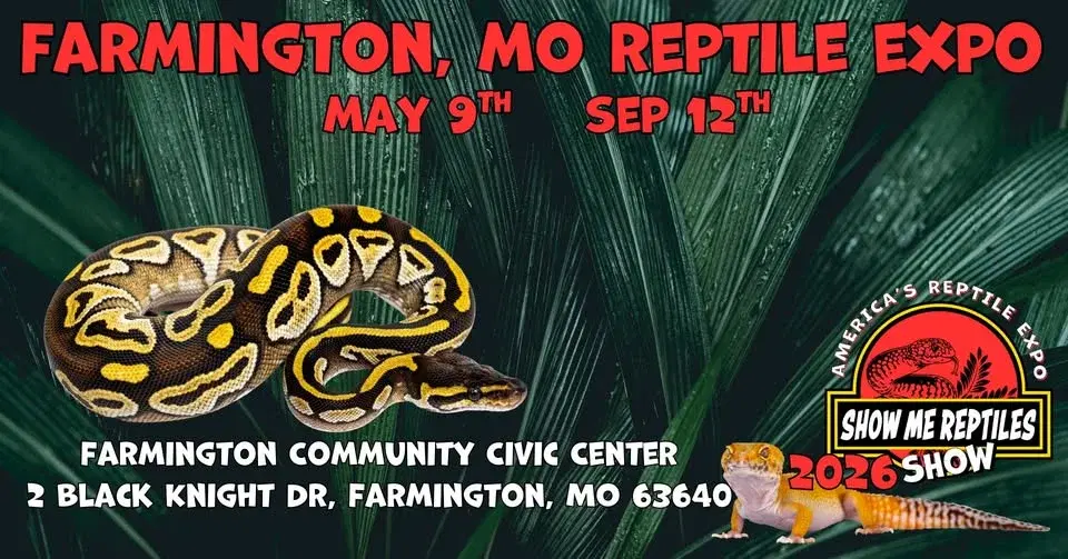 Farmington MO Reptile Expo (Show Me Reptile Shows)