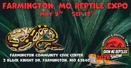 Farmington MO Reptile Expo (Show Me Reptile Shows)