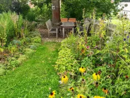 "Herbs for Cooking and Health" with Minal Akkad, and Monthly Meeting