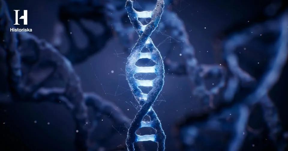 Anna Hegardt Källén: Gammalt DNA – en sanning med modifikation (På plats & digitalt)