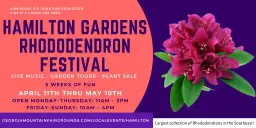 The Rhododendron Festival