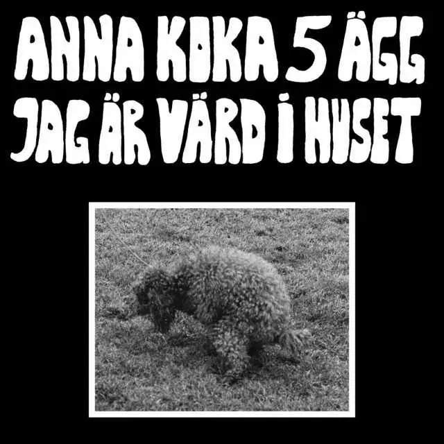 Anna Koka 5 ägg Jag är Värd i Huset