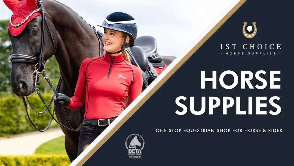 Equine Annual Sale Event