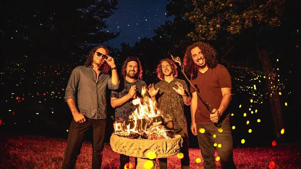 Pigeons Playing Ping Pong