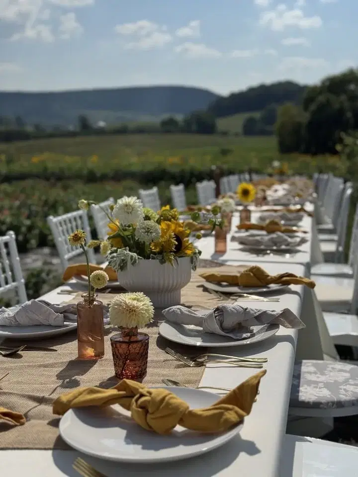 DINNER IN THE SUNFLOWER FIELD SCHEDULE