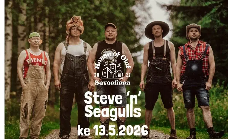 House of Olaf: Steve 'n' Seagulls