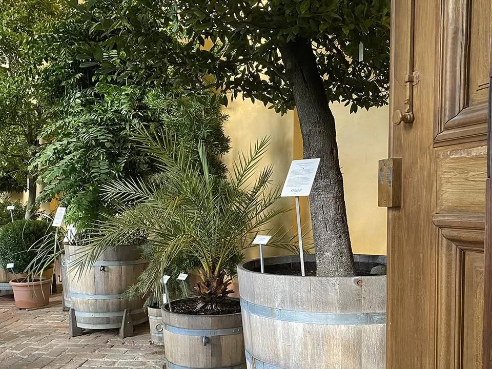 Helgöppet i Orangeriet