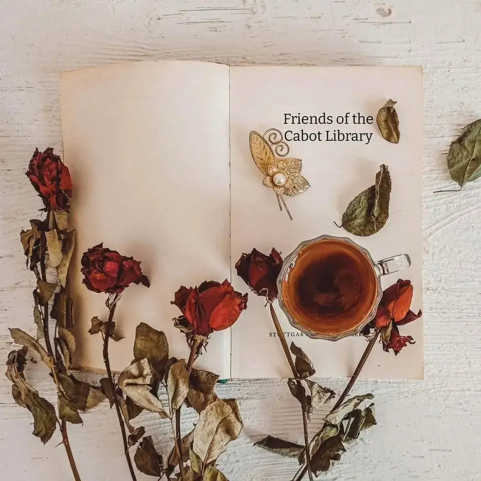 BOOK SALE - SPRING 2026