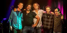 Shakedown Citi - The Ultimate Grateful Dead Experience