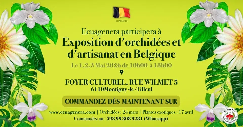 Ecuagenera participera à Exposition d'orchidées et d'artisanat en Belgique