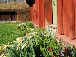 Kvällsvisning av Fornbyn