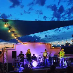 Saucy Jack @ Gladstone festival - more info to come