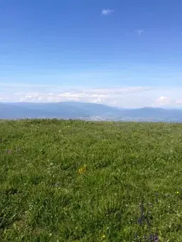 Връх Колош и божурите на Конявска планина