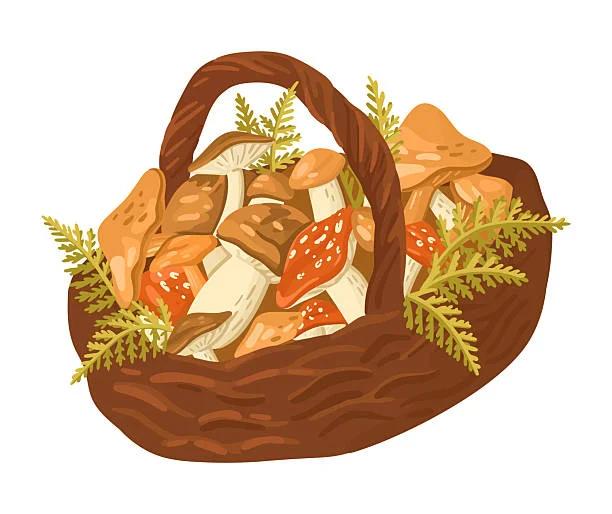 Foraging 101 (in-person)