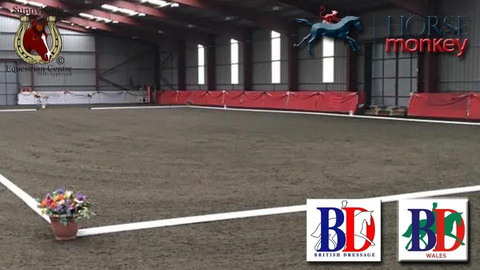 Sensato Unaffiliated Dressage Championships