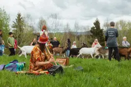 La Grande Cabriole - Artistes variés