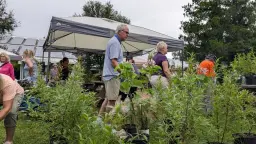 Annual Plant Sale + EdFest