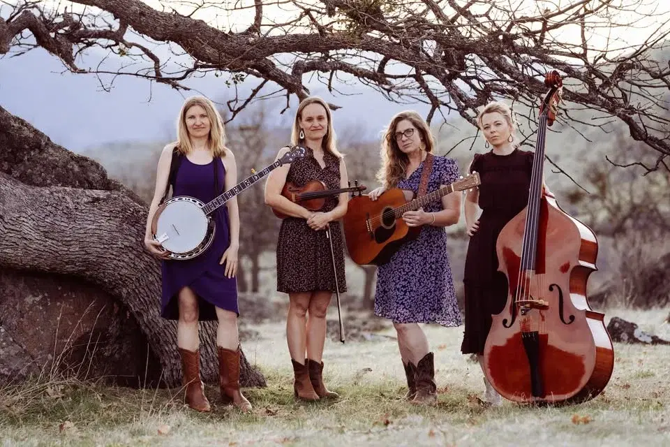 The Rosa Lees at Dos Mariposas