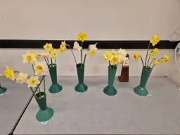 Spring Flower Show