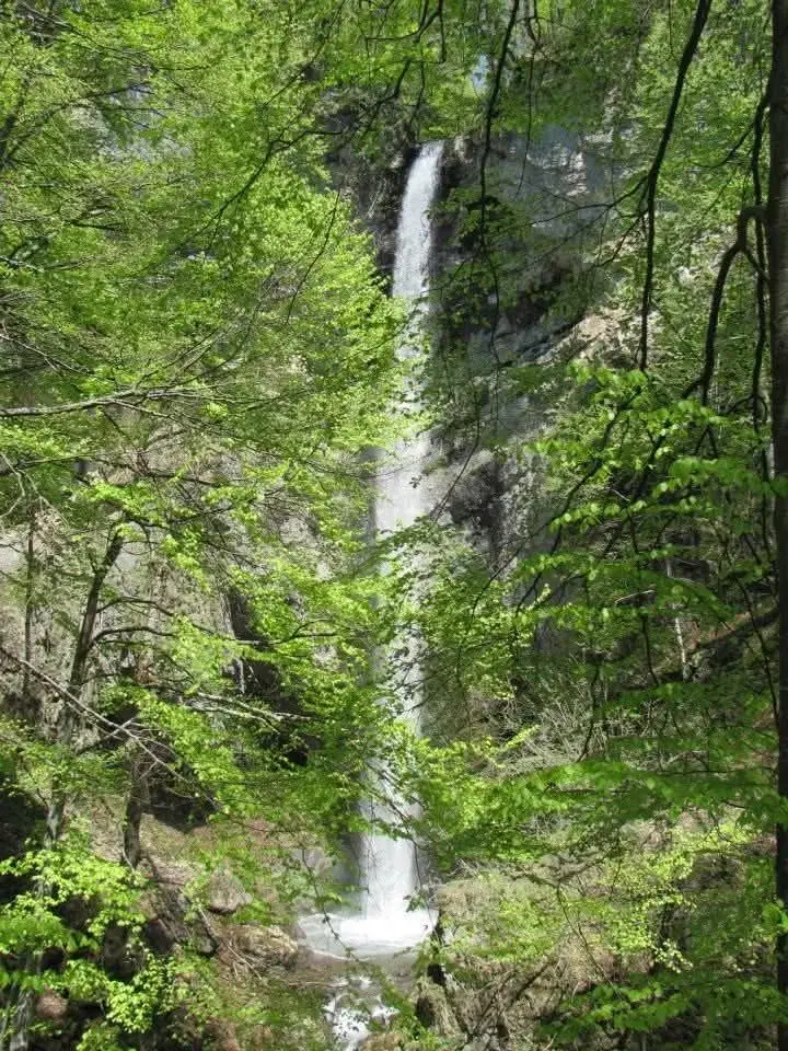 Сувчарското пръскало