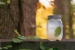 Tailgate Tour: May Day: A Spring Awakening