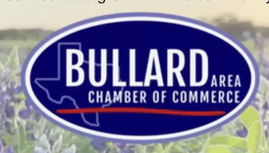 Bullard Bluebonnet Festival And Car Show !