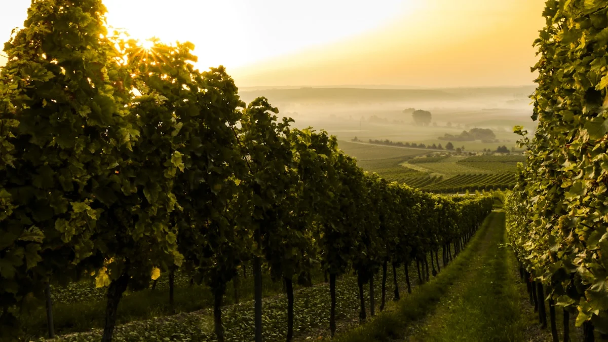 Italiensk aften - en reise gjennom Italia