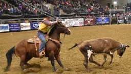SDSU Stampede Rodeo