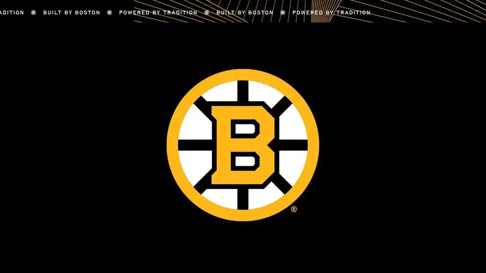 Boston Bruins vs. Dallas Stars