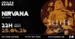 HOMMAGE - NIRVANA par SLIVER