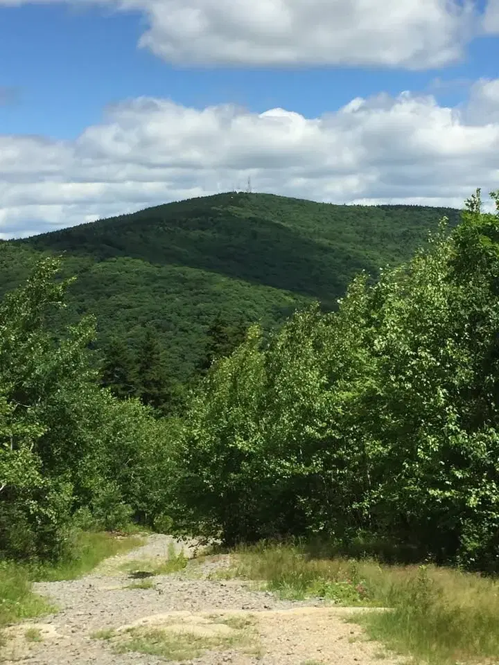 2026 Pack Monadnock 10 Miler Race